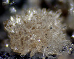 Eifel Mineralien Niveligsberg Topas