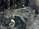 Eifel Mineralien Niveligsberg Topas