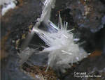 Griechenland Lavrion Mineralien Barbara Cerussit