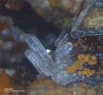 Griechenland Lavrion Mineralien Barbara Cerussit