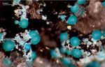 Griechenland Lavrion Mineralien Barbara Rosasit