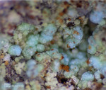 Griechenland Lavrion Mineralien Christiana Attikait