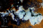 Griechenland Lavrion Mineralien Christiana Attikait