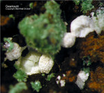 Griechenland Lavrion Mineralien Christiana Gearksutit