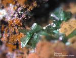 Mineralien Griechenland Lavrion Christiana Olivenit