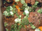 Mineralien Griechenland Lavrion Christiana Olivenit