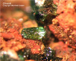 Mineralien Griechenland Lavrion Christiana Olivenit