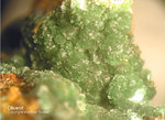 Mineralien Griechenland Lavrion Christiana Olivenit