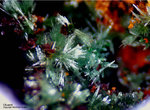 Mineralien Griechenland Lavrion Christiana Olivenit