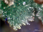 Mineralien Griechenland Lavrion Christiana Olivenit