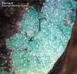 Mineralien Griechenland Lavrion Christiana Parnauit