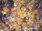 Mineralien Griechenland Lavrion Christiana Pharmakosiderit