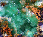 Griechenland Esperenza Mineralien Annabergit