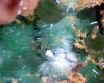 Griechenland Esperenza Mineralien Annabergit