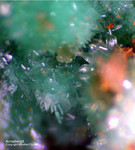 Griechenland Esperenza Mineralien Annabergit