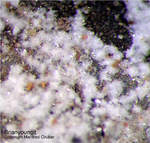 Griechenland Esperenza Mineralien Brianyoungit