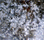 Griechenland Esperenza Mineralien Brianyoungit
