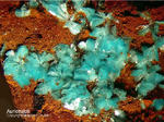 Griechenland Lavrion Mineralien Exi Aurichalcit
