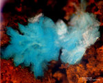 Griechenland Lavrion Mineralien Exi Aurichalcit