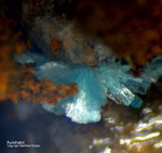Griechenland Lavrion Mineralien Exi Aurichalcit