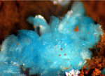 Griechenland Lavrion Mineralien Exi Aurichalcit