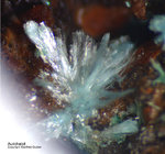 Griechenland Lavrion Mineralien Exi Aurichalcit