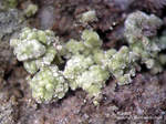 Mineralien Griechenland Lavrion Hilarion Kaňkit