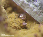 Griechenland Mineralien Laurion Hilarion Kupfer