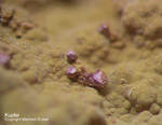 Griechenland Mineralien Laurion Hilarion Kupfer
