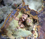 Griechenland Mineralien Laurion Hilarion Kupfer