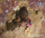 Griechenland Mineralien Laurion Hilarion Kupfer