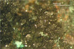 Griechenland Mineralien Laurion Hilarion Namuwit