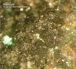 Griechenland Mineralien Laurion Hilarion Namuwit