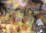 Griechenland Mineralien Lavrion Hilarion Pharmakosiderit