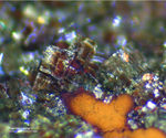Griechenland Mineralien Lavrion Hilarion Pharmakosiderit