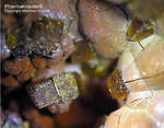 Griechenland Mineralien Lavrion Hilarion Pharmakosiderit