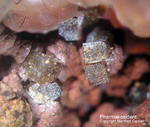 Griechenland Mineralien Lavrion Hilarion Pharmakosiderit