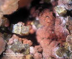 Griechenland Mineralien Lavrion Hilarion Pharmakosiderit