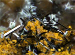 Griechenland Mineralien Lavrion Hilarion Scrutinyit