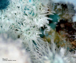Griechenland Mineralien Lavrion Jean Baptiste Beyerit