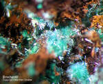 Griechenland Mineralien Lavrion Jean Baptiste Brochantit