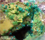 Griechenland Mineralien Lavrion Jean Baptiste Brochantit