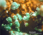 Griechenland Mineralien Lavrion Jean Baptiste Brochantit