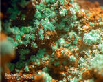 Griechenland Mineralien Lavrion Jean Baptiste Brochantit