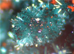 Griechenland Mineralien Lavrion Jean Baptiste Brochantit