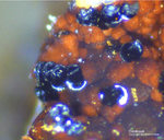 Griechenland Mineralien Lavrion Jean Baptiste Delafossit