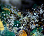 Griechenland Mineralien Lavrion Jean Baptiste Mixit