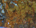 Griechenland Mineralien Lavrion Jean Baptiste Segnetit