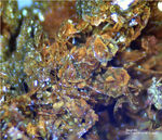 Griechenland Mineralien Lavrion Jean Baptiste Segnetit