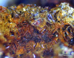 Griechenland Mineralien Lavrion Jean Baptiste Segnetit
